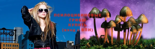 гашик Алексеевка