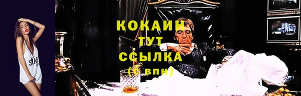 spice Абинск