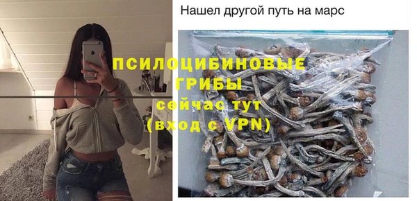 spice Абинск