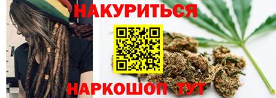 шишки Новодвинск