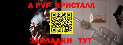 шишки Новодвинск