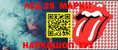 шишки Новодвинск