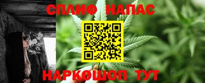 ECSTASY Новозыбков