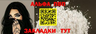 шишки Новодвинск