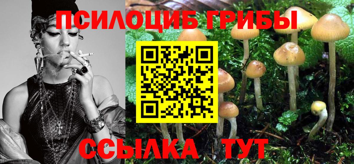 Псилоцибиновые грибы GOLDEN TEACHER Протвино