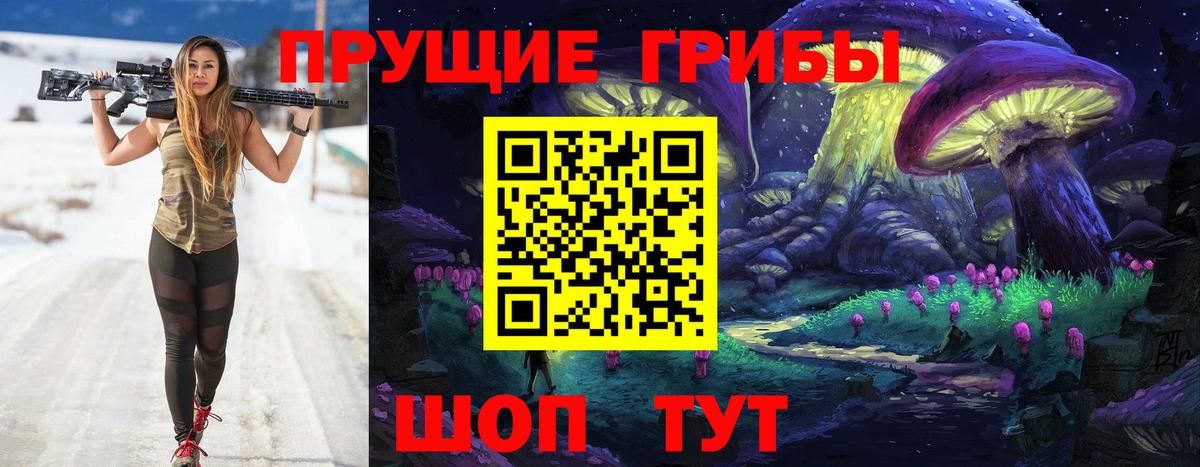 Псилоцибиновые грибы GOLDEN TEACHER Протвино