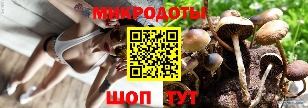 Галлюциногенные грибы Psilocybine cubensis  Псилоцибиновые грибы Magic Shrooms  Вход с VPN  Протвино 